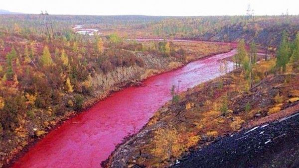 شاهد بالصور .. نهر بـ روسيا يتحول الى اللون الأحمر 