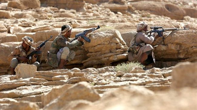 القوات اليمنية المشتركة تعلن عن عملية نوعية ضد الحوثيين بالحديدة